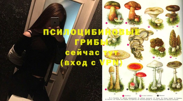 бошки Абинск