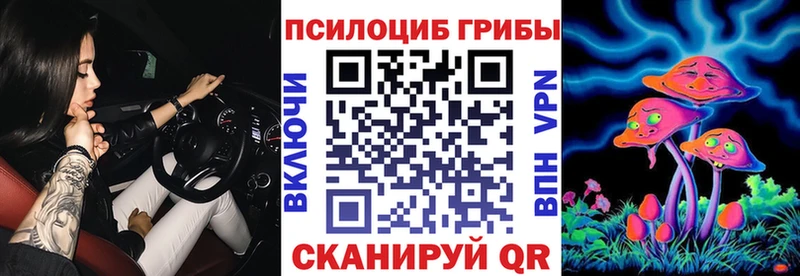 наркошоп  кракен зеркало  Галлюциногенные грибы Psilocybe  Чулым 